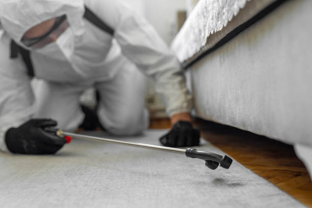 Professional Termite Control technician working in Avalon, NJ